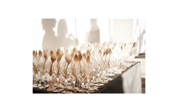 GEORGETTE DEMOISELLE D1MBBAV